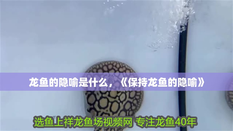 龍魚的隱喻是什么，《保持龍魚的隱喻》