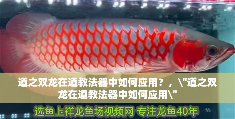 道之雙龍在道教法器中如何應用？，\