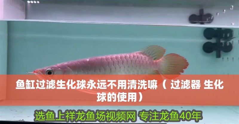 魚缸過濾生化球永遠不用清洗嘛（ 過濾器 生化球的使用）