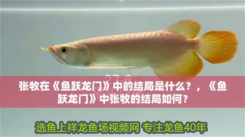 張牧在《魚躍龍門》中的結局是什么？，《魚躍龍門》中張牧的結局如何？