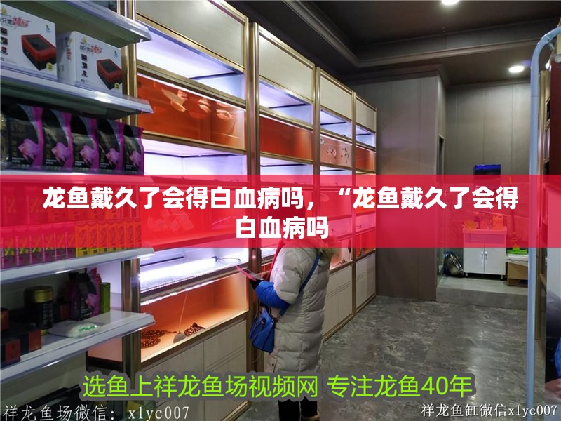 龍魚戴久了會得白血病嗎，“龍魚戴久了會得白血病嗎