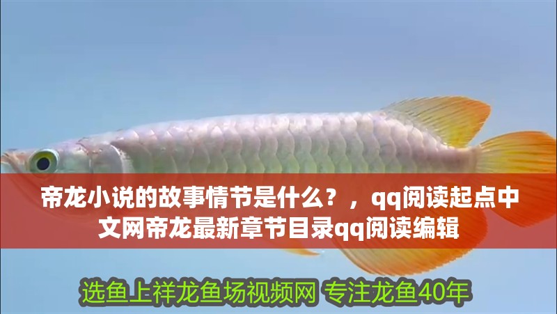 帝龍小說的故事情節是什么？，qq閱讀起點中文網帝龍最新章節目錄qq閱讀編輯