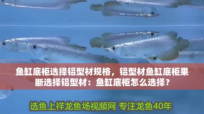 魚缸底柜選擇鋁型材規格，鋁型材魚缸底柜果斷選擇鋁型材：魚缸底柜怎么選擇？
