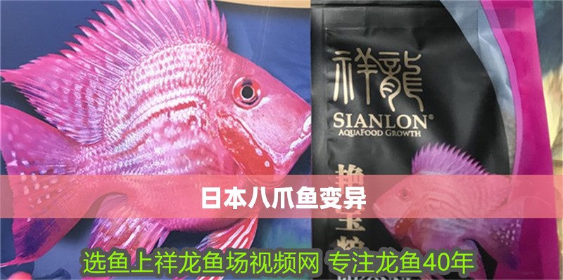 日本八爪魚變異