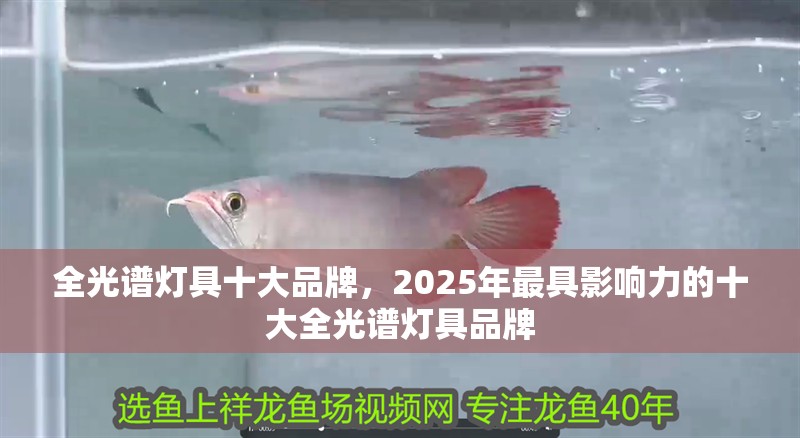 全光譜燈具十大品牌，2025年最具影響力的十大全光譜燈具品牌