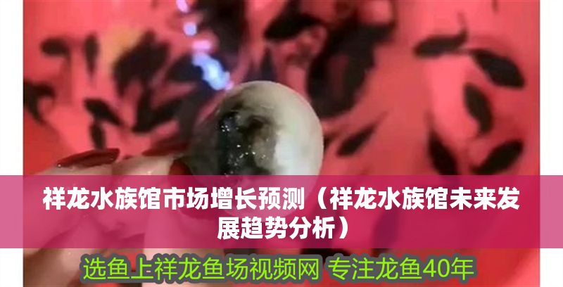 祥龍水族館市場增長預測（祥龍水族館未來發展趨勢分析）