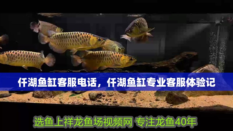 仟湖魚缸客服電話，仟湖魚缸專業(yè)客服體驗(yàn)記
