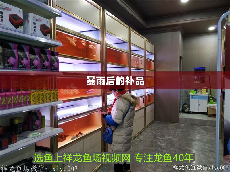 暴雨后的補品 暴雨后的補品 黃金貓魚百科 第2張