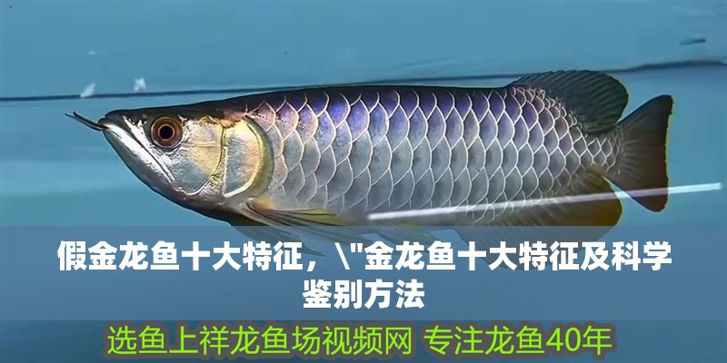 假金龍魚十大特征，\