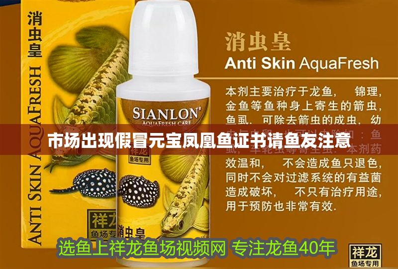 市場出現假冒元寶鳳凰魚證書請魚友注意