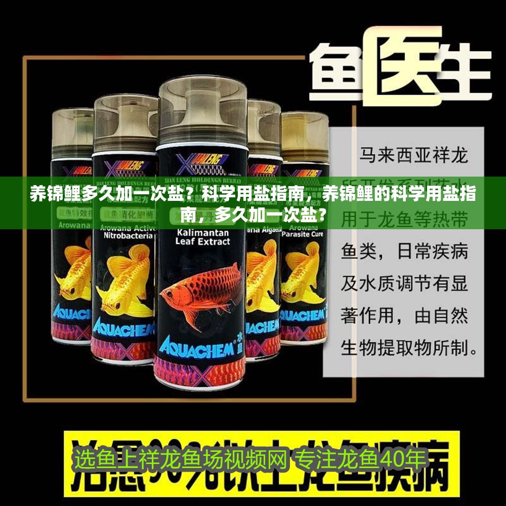 養(yǎng)錦鯉多久加一次鹽？科學(xué)用鹽指南，養(yǎng)錦鯉的科學(xué)用鹽指南，多久加一次鹽？