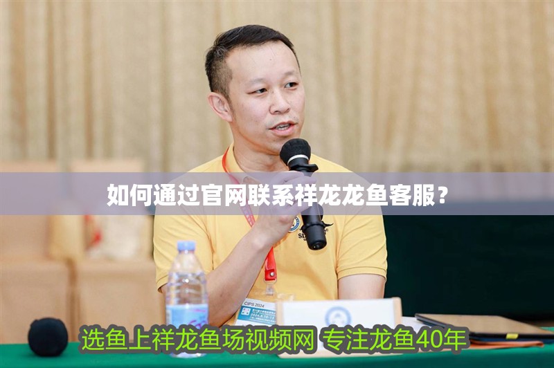 詳細閱讀:如何通過官網聯系祥龍龍魚客服? 如何通過官網聯系祥龍龍魚客服?