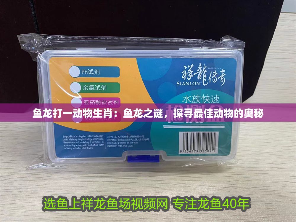 魚龍打一動物生肖：魚龍之謎，探尋最佳動物的奧秘