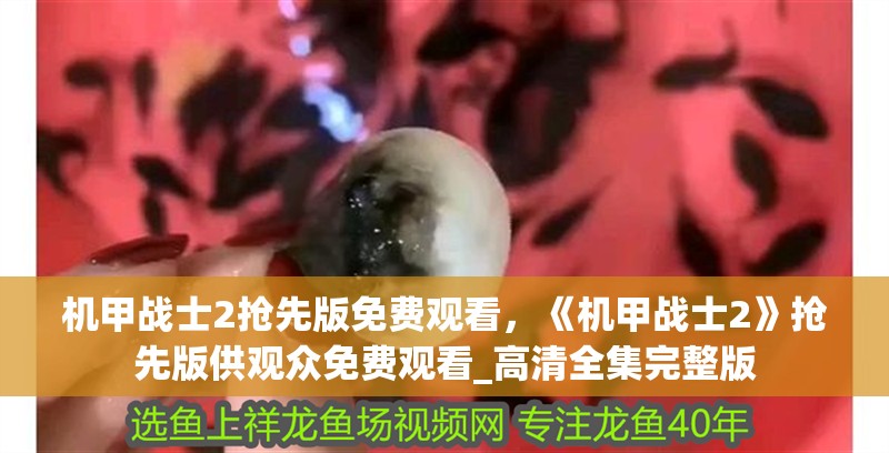 機甲戰士2搶先版免費觀看，《機甲戰士2》搶先版供觀眾免費觀看_高清全集完整版 機甲戰士2搶先版免費觀看，《機甲戰士2》搶先版供觀眾免費觀看_高清全集完整版 龍魚論壇