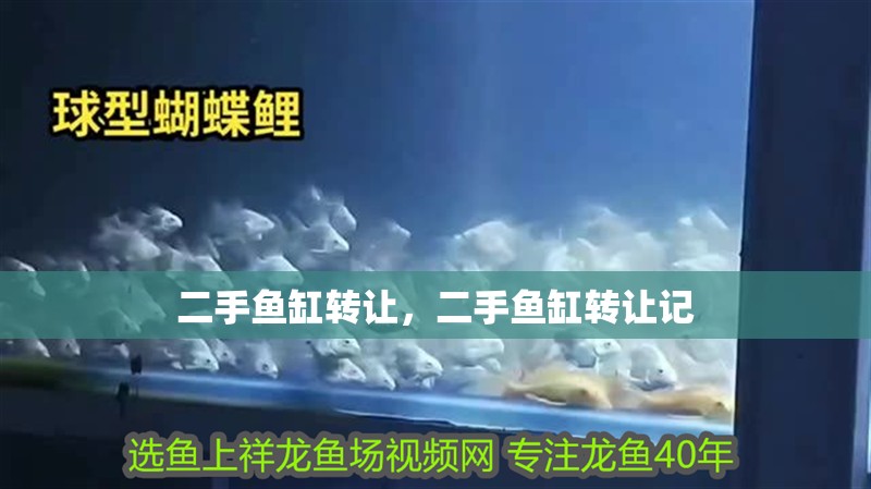 二手魚缸轉(zhuǎn)讓，二手魚缸轉(zhuǎn)讓記