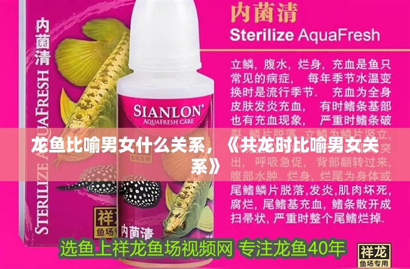 龍魚比喻男女什么關系，《共龍時比喻男女關系》