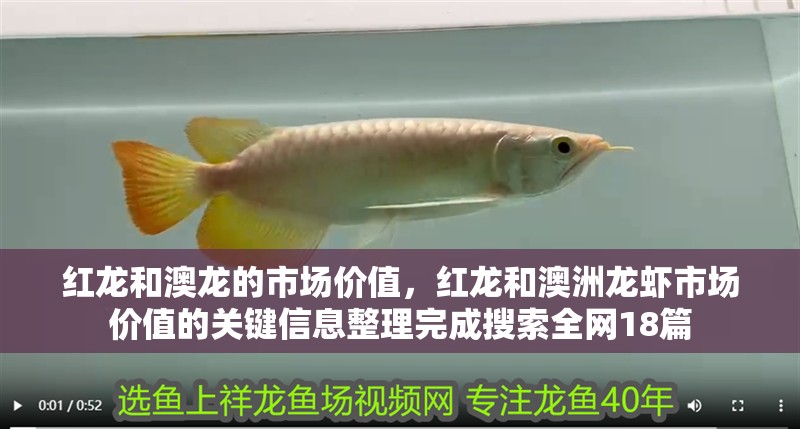 紅龍和澳龍的市場價值，紅龍和澳洲龍蝦市場價值的關鍵信息整理完成搜索全網18篇