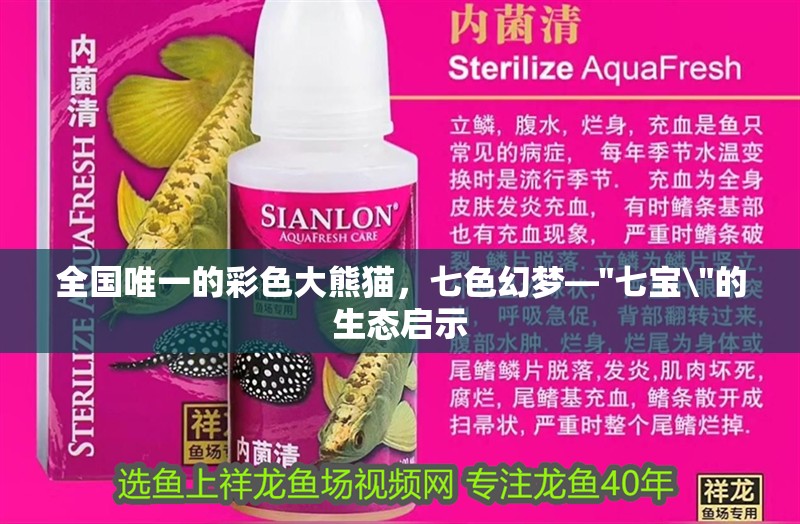 全國(guó)唯一的彩色大熊貓，七色幻夢(mèng)—