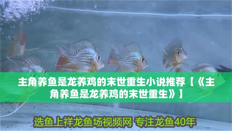 主角養魚是龍養雞的末世重生小說推薦【《主角養魚是龍養雞的末世重生》】