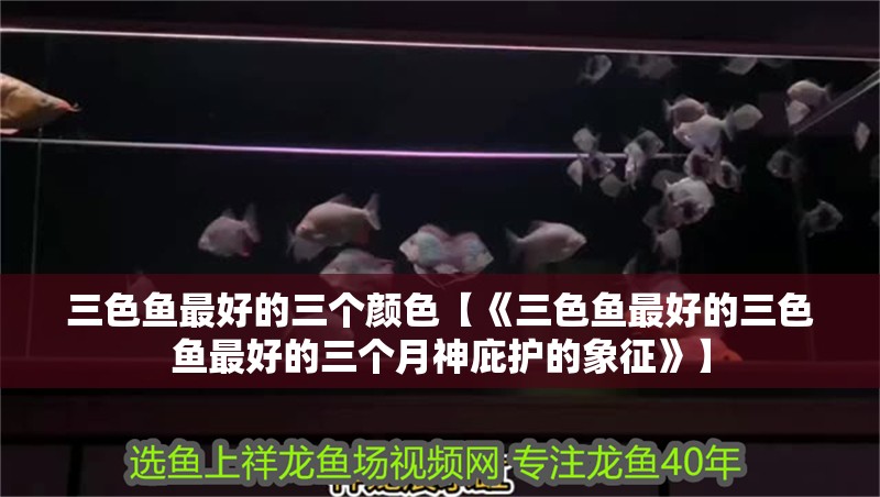三色魚最好的三個顏色【《三色魚最好的三色魚最好的三個月神庇護的象征》】