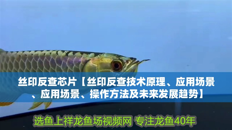 絲印反查芯片【絲印反查技術(shù)原理、應(yīng)用場(chǎng)景、應(yīng)用場(chǎng)景、操作方法及未來(lái)發(fā)展趨勢(shì)】