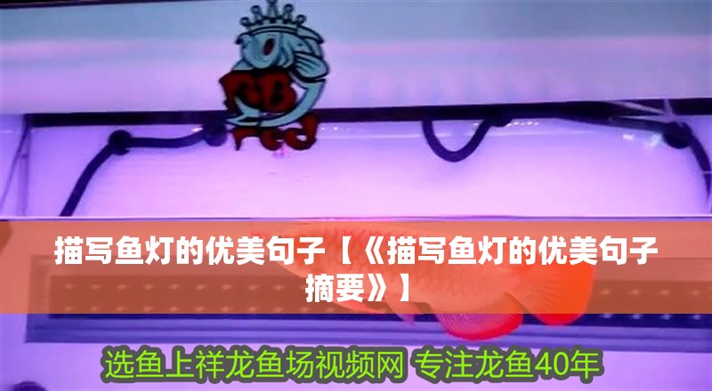 描寫魚燈的優美句子【《描寫魚燈的優美句子摘要》】