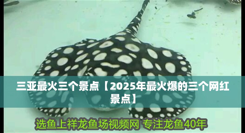 三亞最火三個景點【2025年最火爆的三個網(wǎng)紅景點】