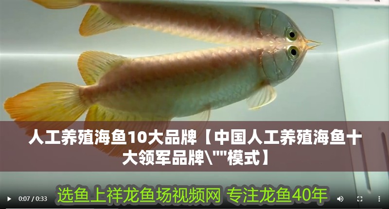 人工養殖海魚10大品牌【中國人工養殖海魚十大領軍品牌\