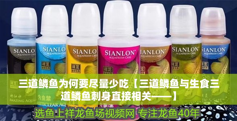 三道鱗魚為何要盡量少吃【三道鱗魚與生食三道鱗魚刺身直接相關(guān)——】