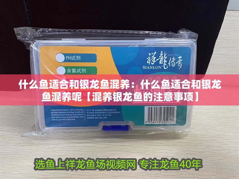 什么魚(yú)適合和銀龍魚(yú)混養(yǎng)：什么魚(yú)適合和銀龍魚(yú)混養(yǎng)呢【混養(yǎng)銀龍魚(yú)的注意事項(xiàng)】