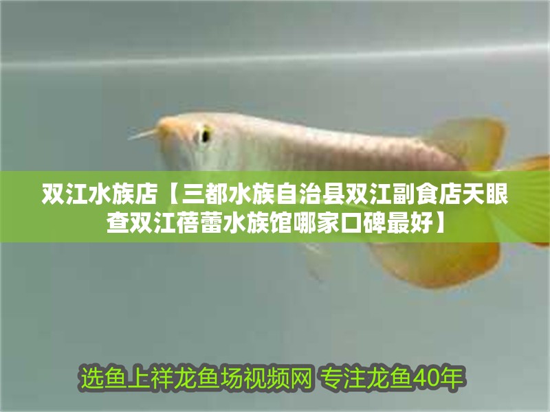 雙江水族店【三都水族自治縣雙江副食店天眼查雙江蓓蕾水族館哪家口碑最好】