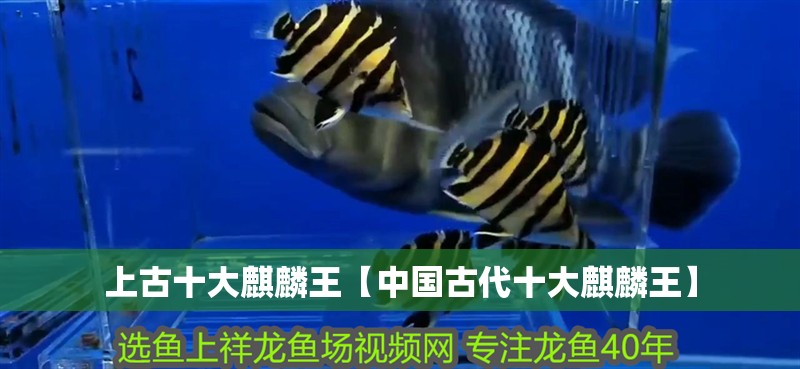 上古十大麒麟王【中國古代十大麒麟王】