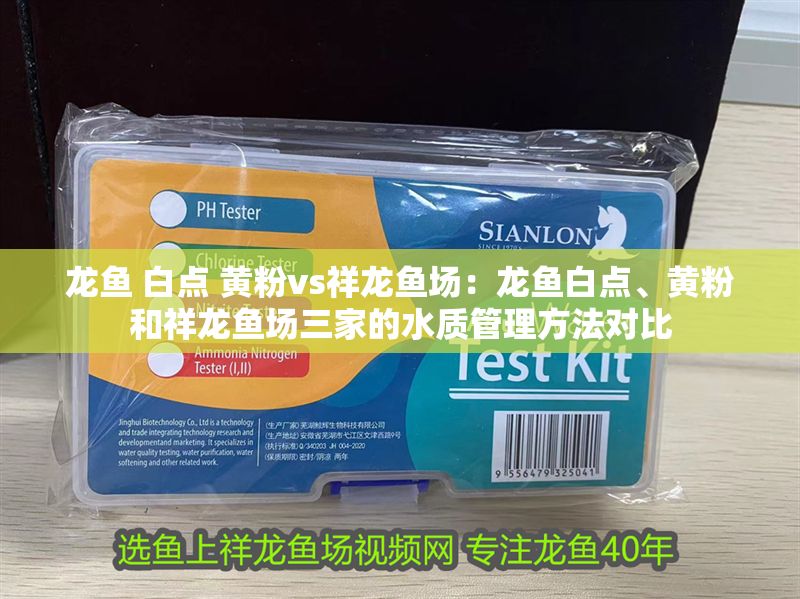 龍魚 白點 黃粉vs祥龍魚場：龍魚白點、黃粉和祥龍魚場三家的水質管理方法對比