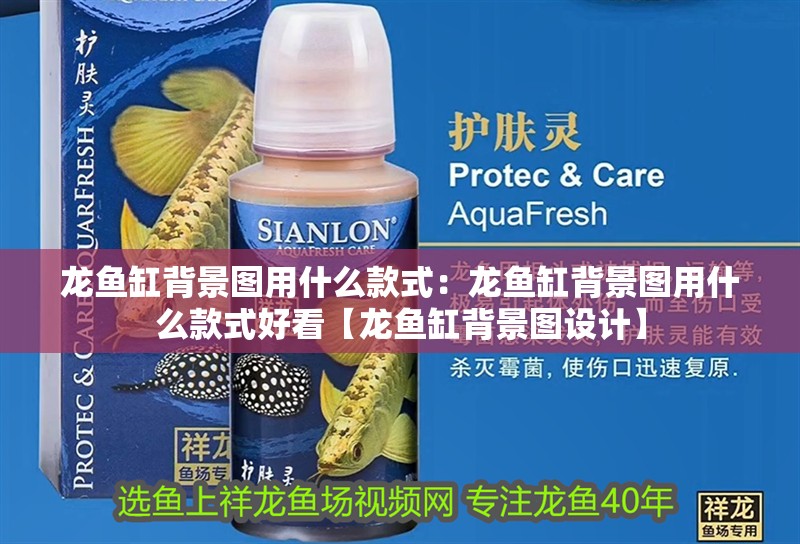 龍魚缸背景圖用什么款式：龍魚缸背景圖用什么款式好看【龍魚缸背景圖設(shè)計】