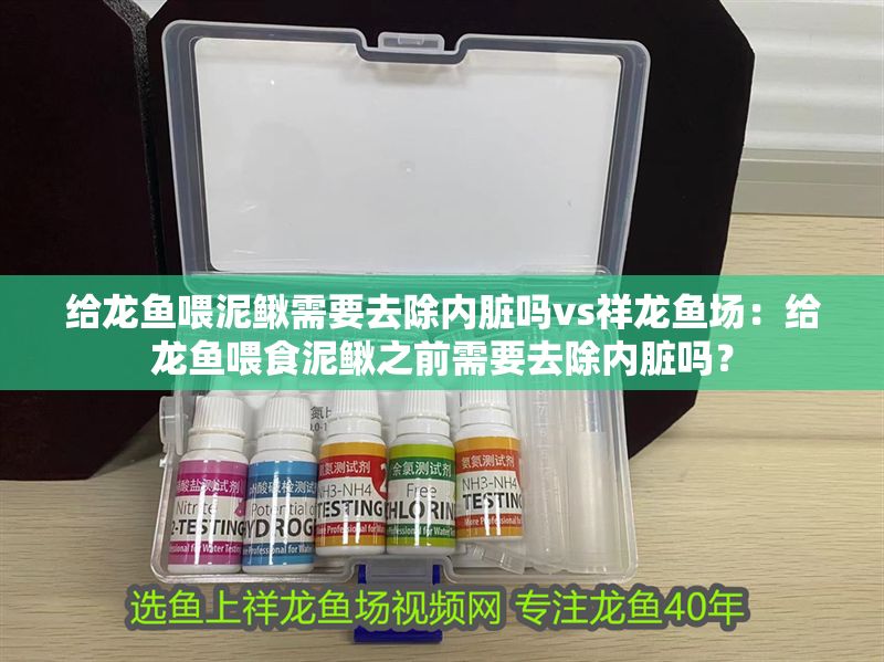 給龍魚喂泥鰍需要去除內臟嗎vs祥龍魚場：給龍魚喂食泥鰍之前需要去除內臟嗎？