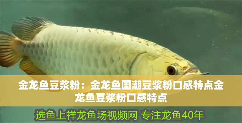 金龍魚豆?jié){粉：金龍魚國潮豆?jié){粉口感特點金龍魚豆?jié){粉口感特點