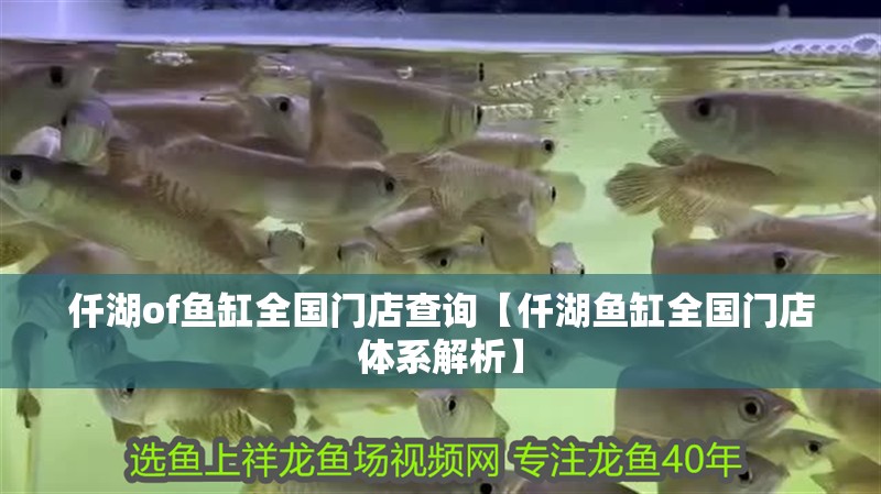 仟湖of魚缸全國門店查詢【仟湖魚缸全國門店體系解析】