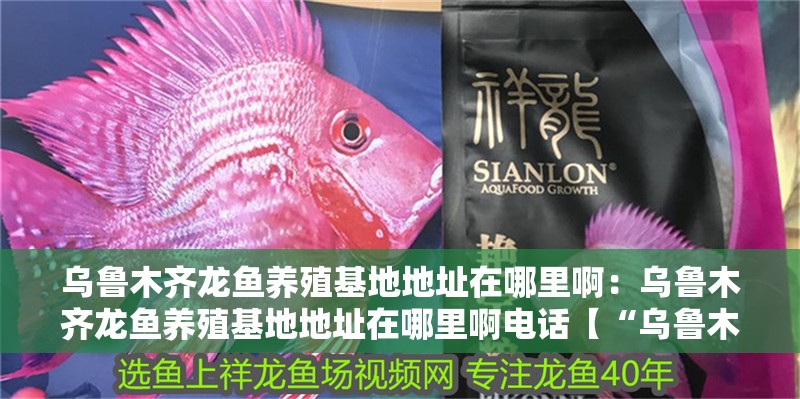 烏魯木齊龍魚養殖基地地址在哪里啊：烏魯木齊龍魚養殖基地地址在哪里啊電話【“烏魯木齊龍魚養殖基地”具體地址及官方聯系電話搜索結果】