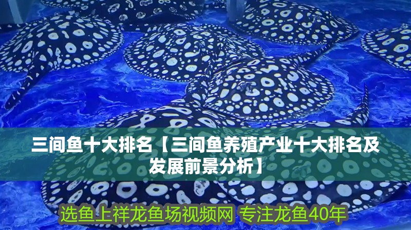 三間魚十大排名【三間魚養殖產業十大排名及發展前景分析】