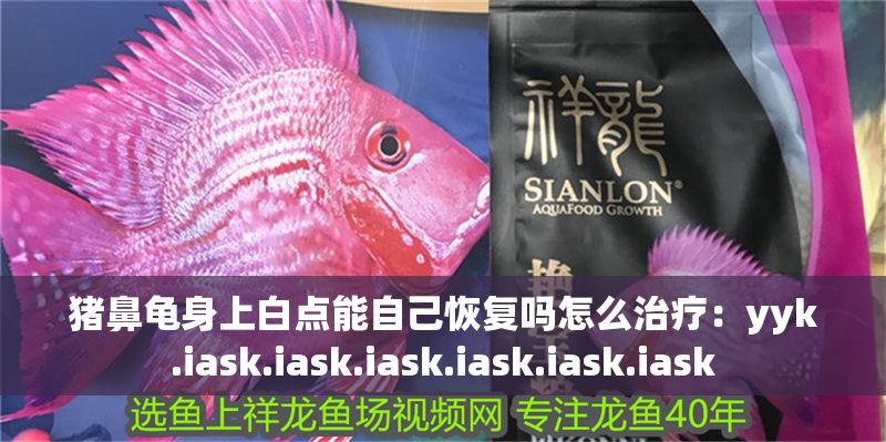 豬鼻龜身上白點能自己恢復(fù)嗎怎么治療：yyk.iask.iask.iask.iask.iask.iask