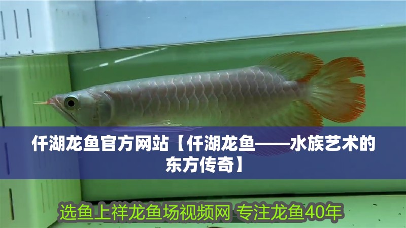 仟湖龍魚官方網站【仟湖龍魚——水族藝術的東方傳奇】