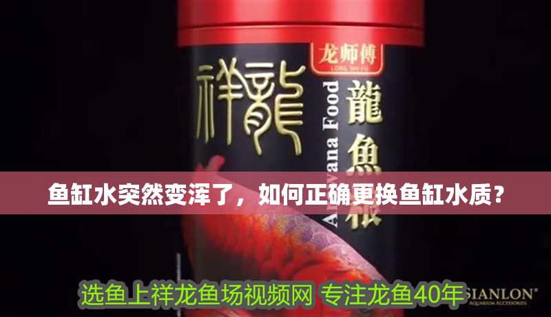 魚缸水突然變渾了，如何正確更換魚缸水質？