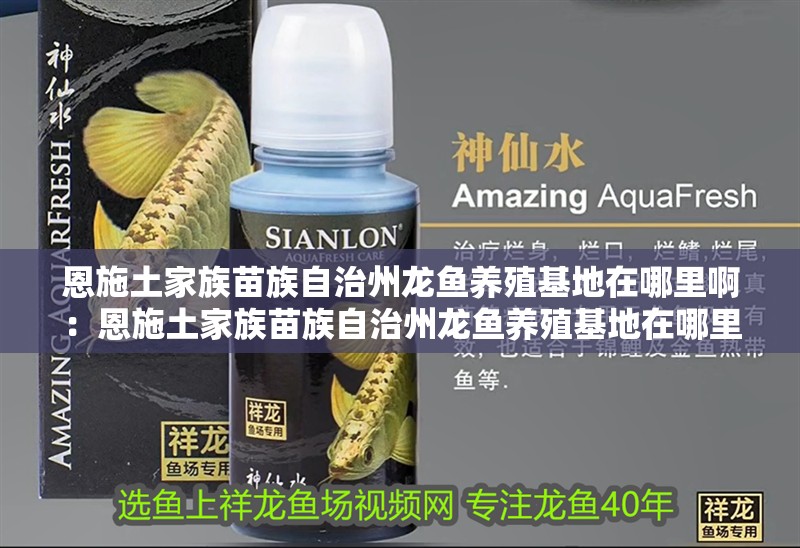 恩施土家族苗族自治州龍魚養(yǎng)殖基地在哪里啊：恩施土家族苗族自治州龍魚養(yǎng)殖基地在哪里啊【恩施州內(nèi)多個水產(chǎn)養(yǎng)殖場可通過三種途徑探索本地資源】