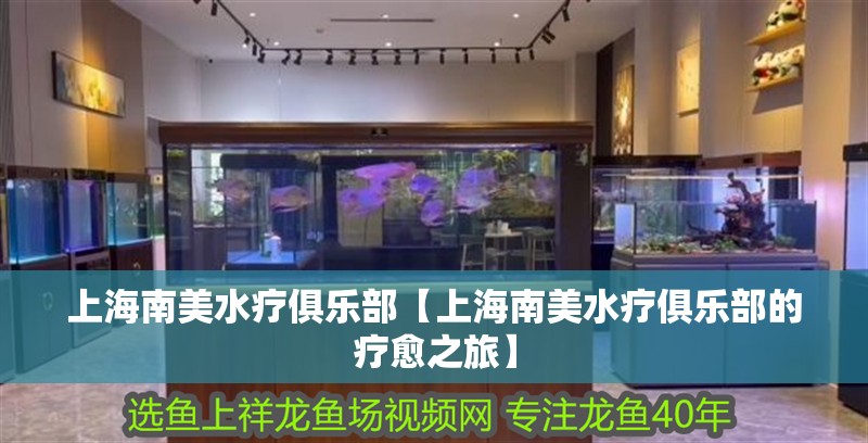 上海南美水療俱樂部【上海南美水療俱樂部的療愈之旅】