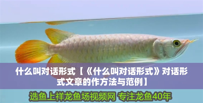 什么叫對話形式【《什么叫對話形式》對話形式文章的作方法與范例】