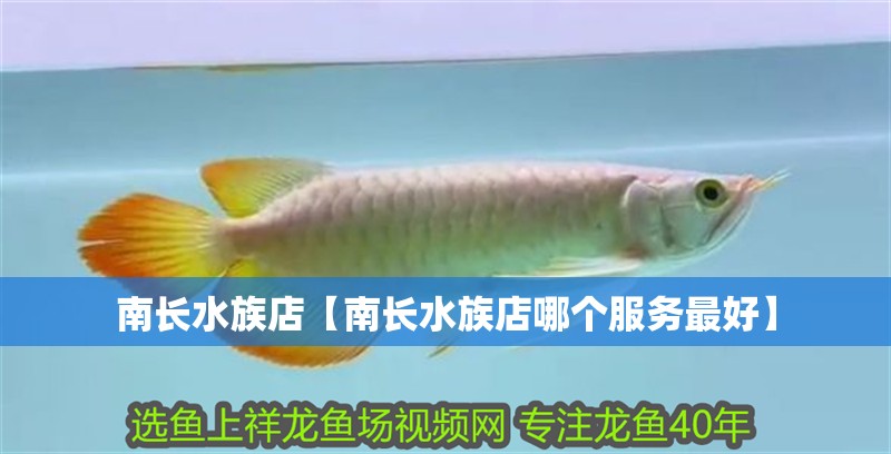 南長(zhǎng)水族店【南長(zhǎng)水族店哪個(gè)服務(wù)最好】