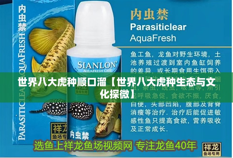 世界八大虎種順口溜【世界八大虎種生態(tài)與文化探微】