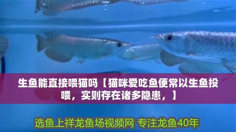 生魚能直接喂貓嗎【貓咪愛吃魚便常以生魚投喂，實則存在諸多隱患，】