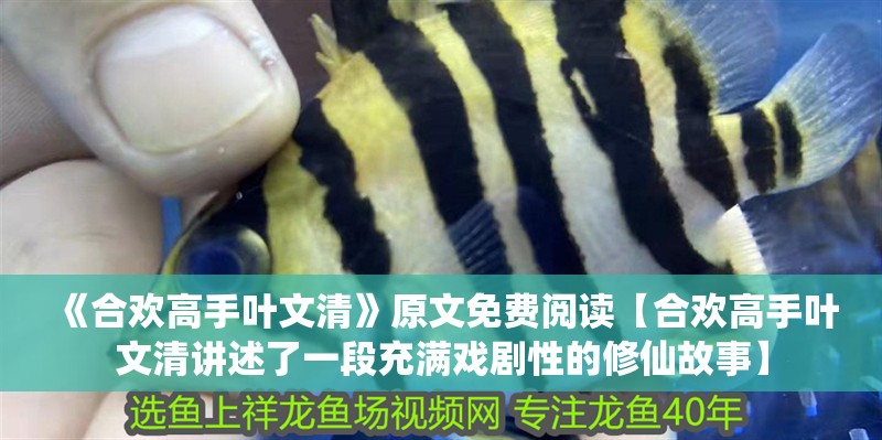 《合歡高手葉文清》原文免費閱讀【合歡高手葉文清講述了一段充滿戲劇性的修仙故事】