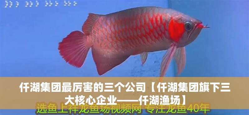 仟湖集團最厲害的三個公司【仟湖集團旗下三大核心企業——仟湖漁場】